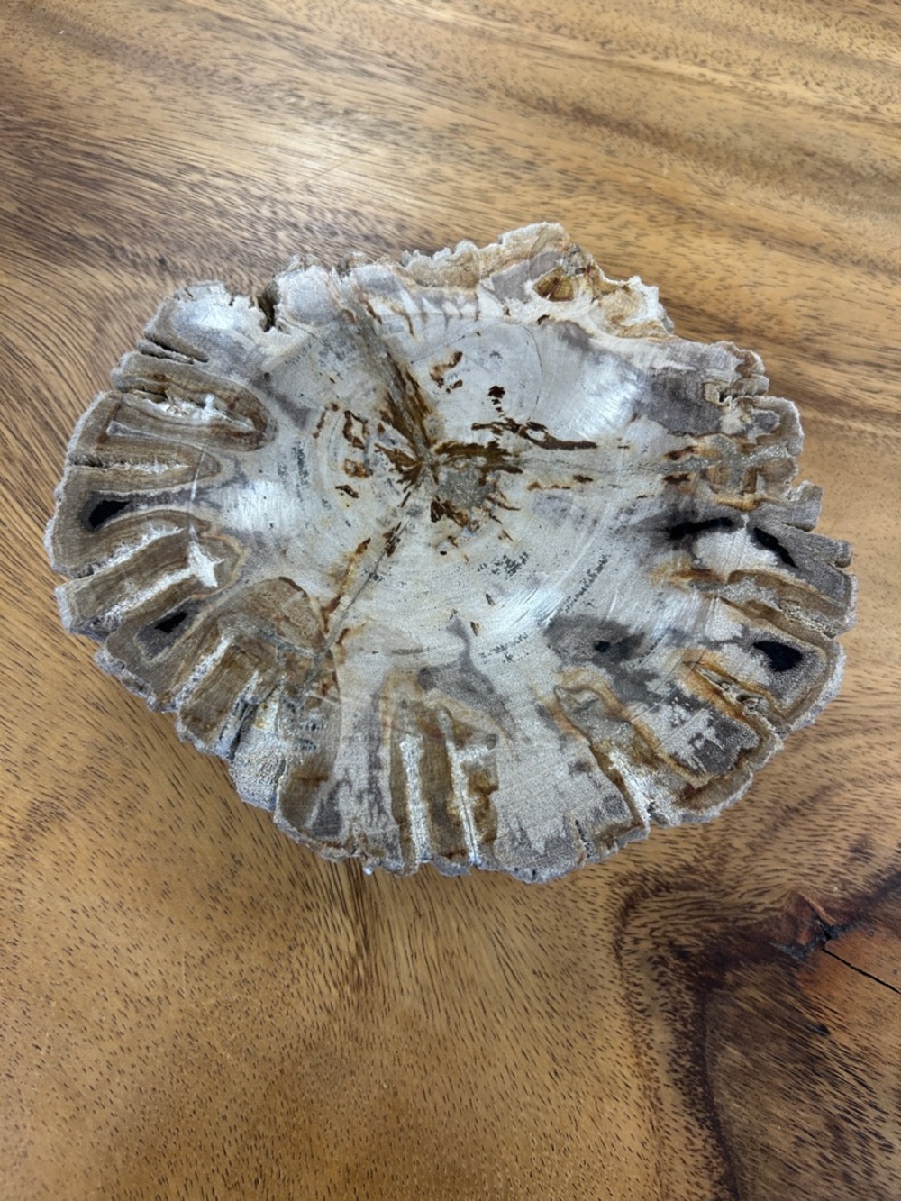 Petrified Wood Decorative Bowl - Picture 3 of 17